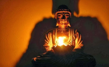 Cỏ úa